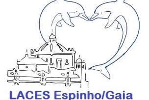 Liga dos Amigos do ACeS Espinho/Gaia (LACES)